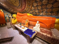 /album/fotogaleria-sri-lanka-maldivy-zajazd-vy-a-my2/sri-lanka-zajazd-jamajkanita-194-jpg/